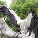Robert Pardee - Facebook