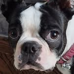 Robert Pardue - @robertpardue - Instagram