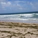 Robert Parish - @parish_robert - Instagram