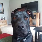 Robert Partlow - @bptlw - Instagram