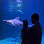 Robert Partlow - @robert.partlow.752 - Instagram