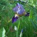 Robert Partlow - Facebook