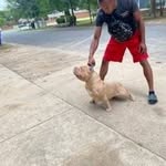 Robert Paschal - @robertpaschal270 - Instagram