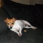 Robert Paschal - @robertpaschal274 - Instagram