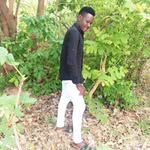 Robert Paschal - @robertpaschal13 - Instagram