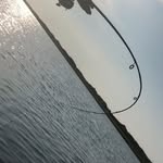 robert paschal - @gheenoerob - Instagram