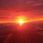 Robert Joseph - @robertpascone - Instagram