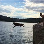 Robert Dennis Pascoe - @rdpascoe - Instagram