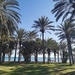 Robert Pascoe - @pascoe_r - Instagram
