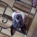 Robert pascoe - @pascode69 - Instagram