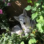 Robert Pasley - @ryley_dog222 - Instagram