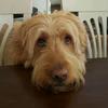 Robert Passmore - @maui2924 - TikTok