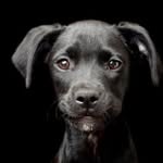 Robert patch - @patch_72_robert - Instagram