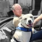 Robert Patch - @patch6840 - Instagram