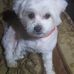 Robert Pavey - Facebook