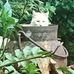 Robert Pavy - Facebook