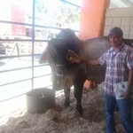Robert Payero - @robertpayero - Instagram