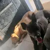Robert Paz - @robert.paz194 - TikTok