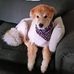 Robert Peffer - Facebook