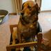 Robert Pelissier - Facebook