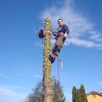 Róbert Pelle - @robert.pelle.1 - Instagram