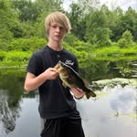 Robert Pellew - @robert_pellew - Instagram