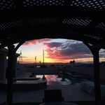 Robert Pellerin - @ludlow_tom - Instagram