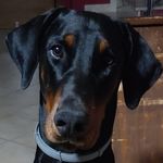 Roberta Pelliccioni - @roberta.pelliccioni.79 - Instagram