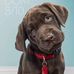 Robert Puello - Facebook