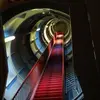 Robert Pelzer - @robert.pelzer - TikTok