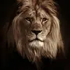 Robert Pena - @robertpena305 - TikTok