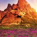 Robert Peplinski - Facebook