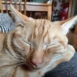 Robert Perchinske - @robertperchinske - Instagram