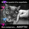Roberto Perillo141 - @robertoperillo1 - TikTok