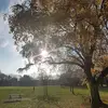 Robert Perks - @robert.perks - TikTok