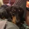 Robert Perks - @robert.perks0 - TikTok