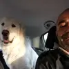 Roberto Perla - @robertoperla - TikTok