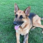 Robert Perrow - @robert.perrow - Instagram