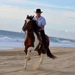 Robert Perryment - @perrymentrobert - Instagram