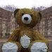 Robert Persico - Facebook