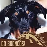 Robert Petersen - @robert.petersen.332 - Instagram