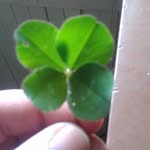 Robert Petersen - @robert.petersen.1690 - Instagram