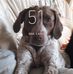 Robert Petit - Facebook