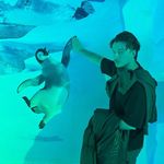 @robert_petrovic__ - Instagram