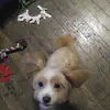 Robert Petifer - @2180377108 - TikTok