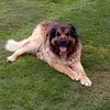 Robert Petzold - @robertpetzold8 - TikTok