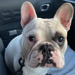 Robert Pautsch - @robertpautsch - Instagram