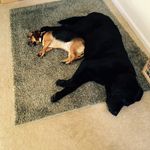 Ian Robert Pfeffer - @ianpfeffer3 - Instagram