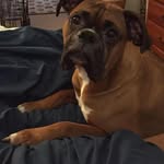 Robert Pfundstein - @robert_pfundstein - Instagram