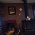 Robert Phegley - @robertphegley - Instagram